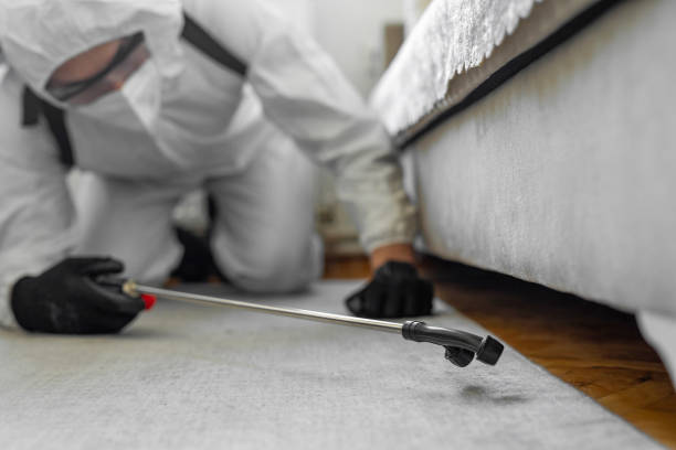 Professional Termite Control technician working in Marion, IN