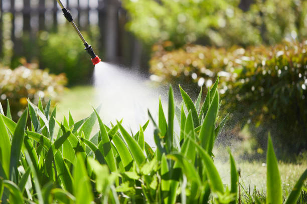 24/7 Emergency Termite Control experts in Marion, IN