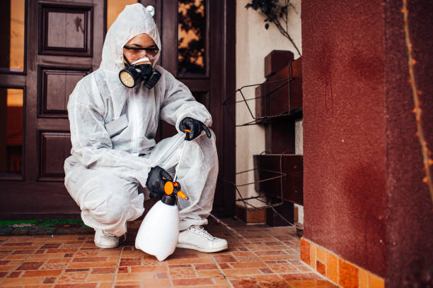 Reliable Termite Control contractor in Marion, IN by Nex Pest Control