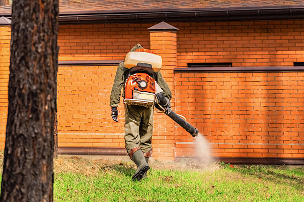 Top rated local Termite Control specialists in Marion, IN